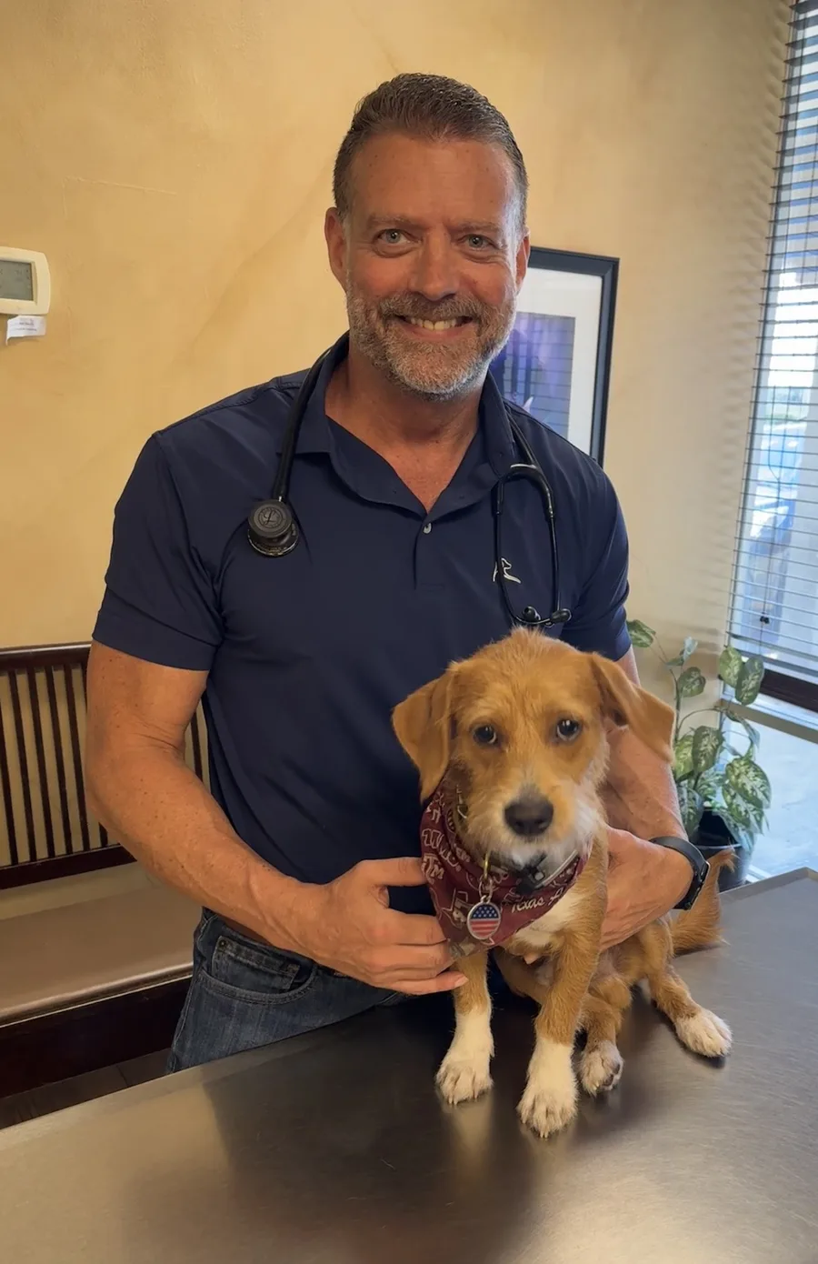 Dr. Steve Pelton smiling in his exam room, holding a scruffy tan puppy in a maroon bandana on the exam table.